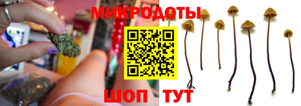 Галлюциногенные грибы GOLDEN TEACHER  Вход с VPN  Мончегорск  Псилоцибиновые грибы ЛСД 